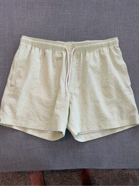 Pacsun Mens Light Green Swim Trunks